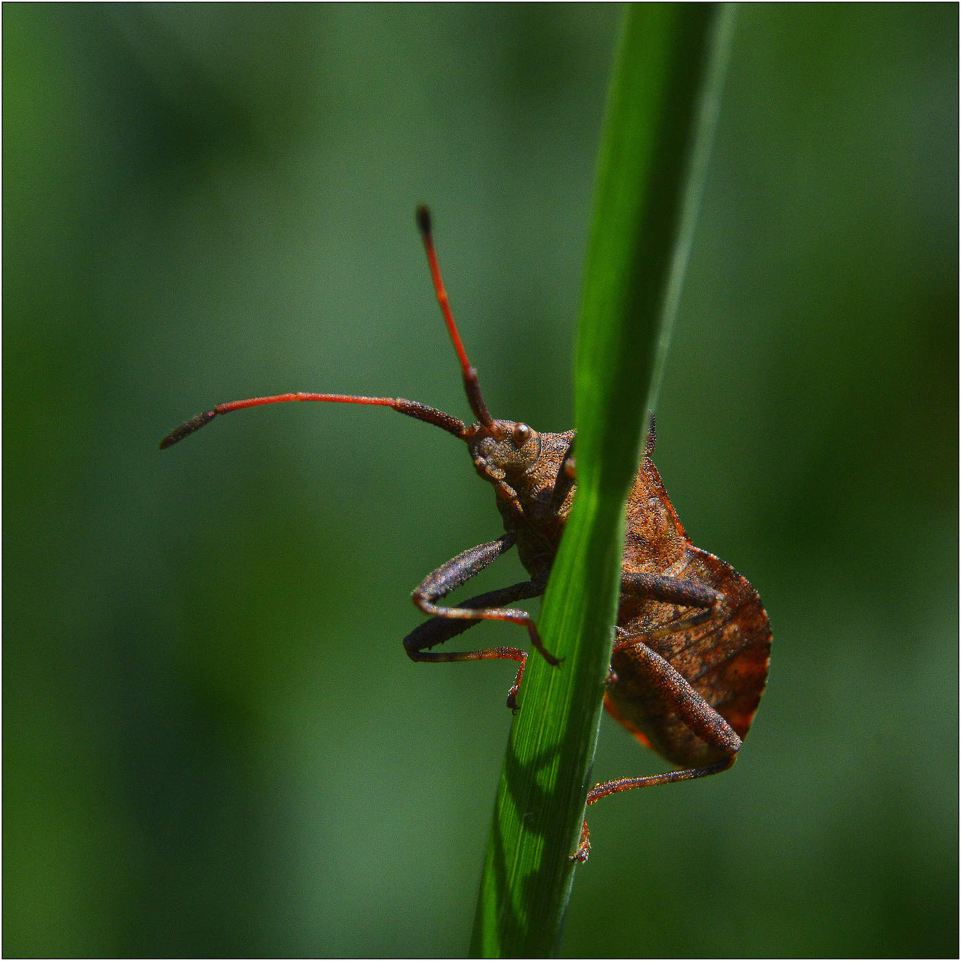 В поисках удачи.