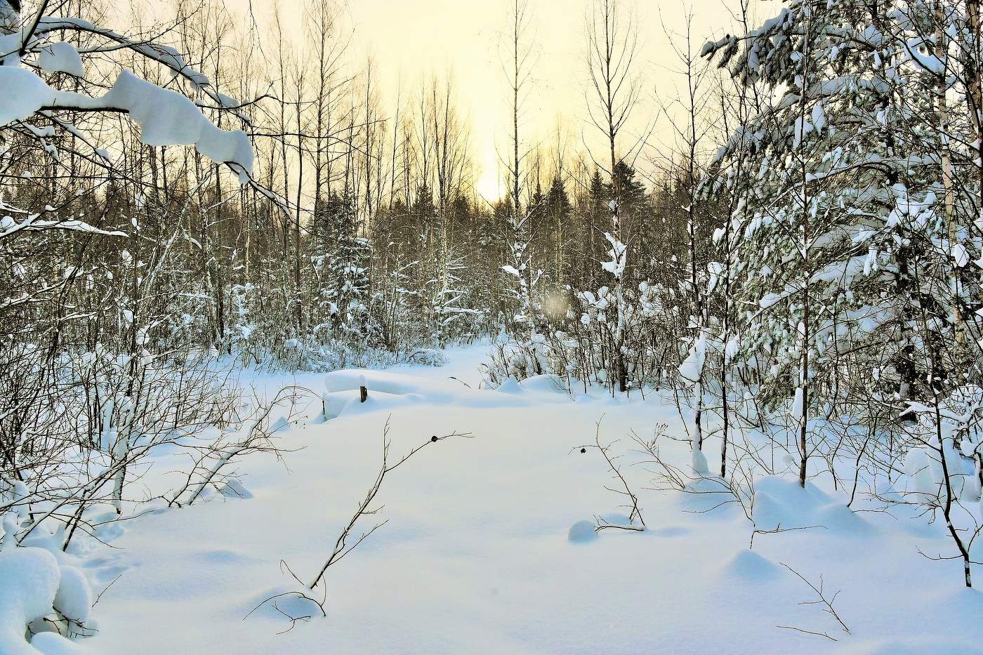 "Божьи дни коротки, солнце светит мало ..."