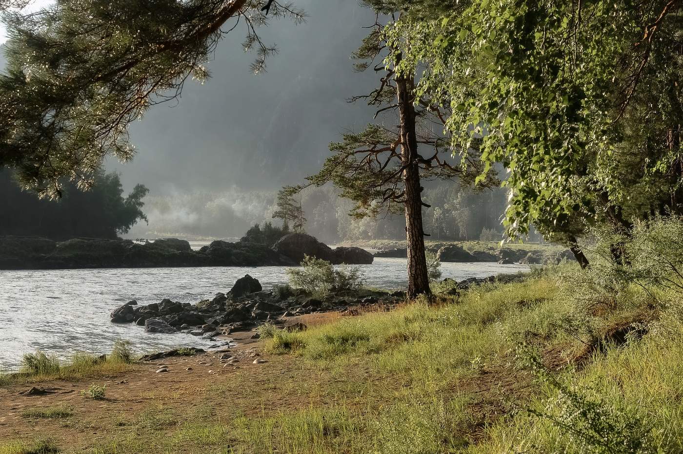 После дождя