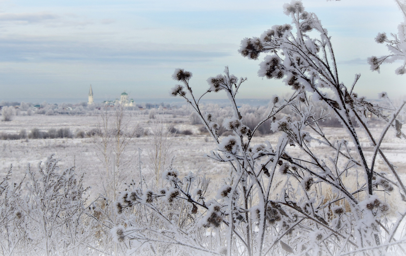 Заснеженная нежность