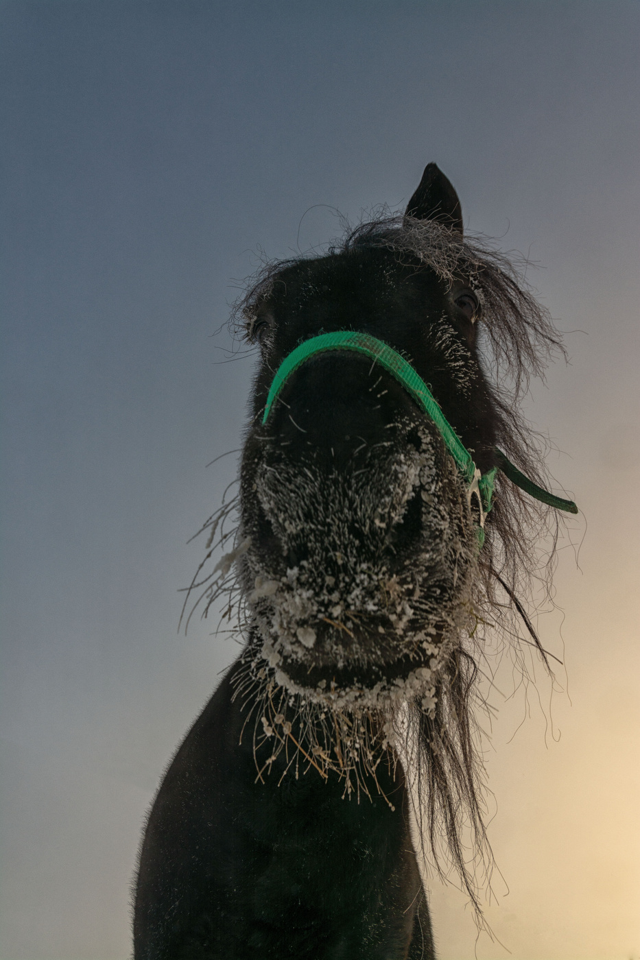 Жизнь вокруг