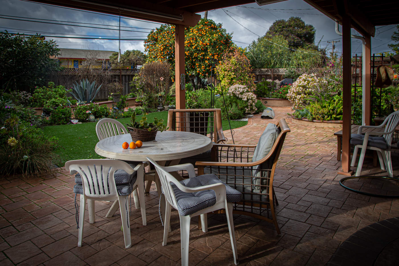 Калифорния. Апельсины созрели...