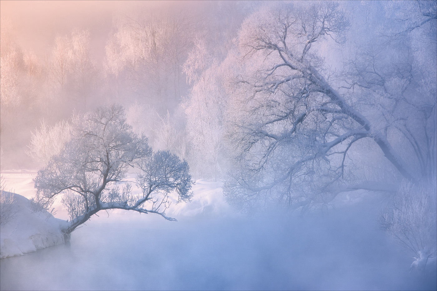 Ты упадешь...я подхвачу!