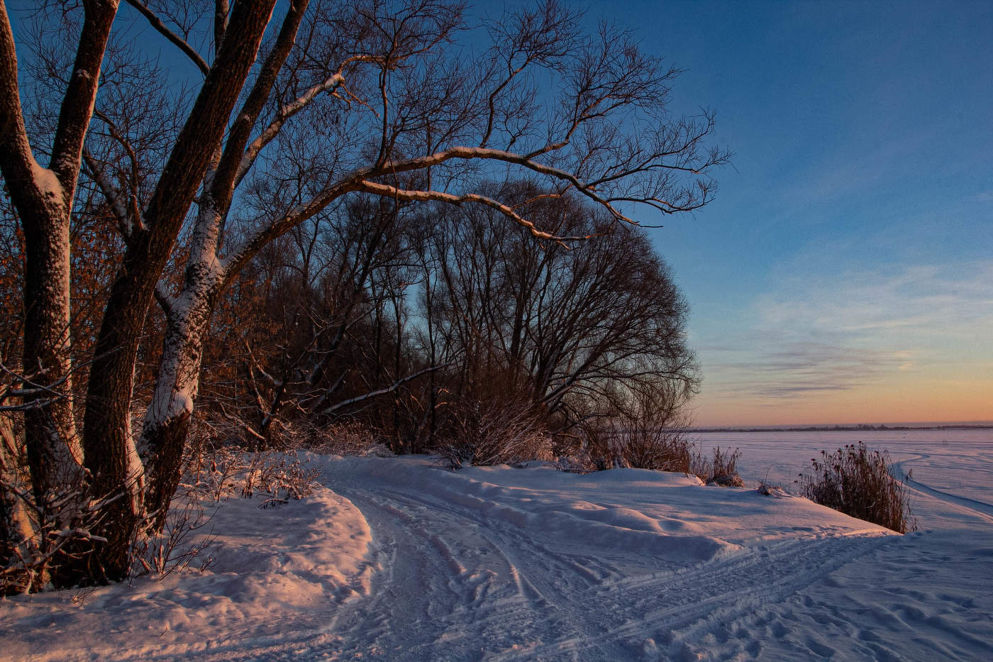 Зимнее утро