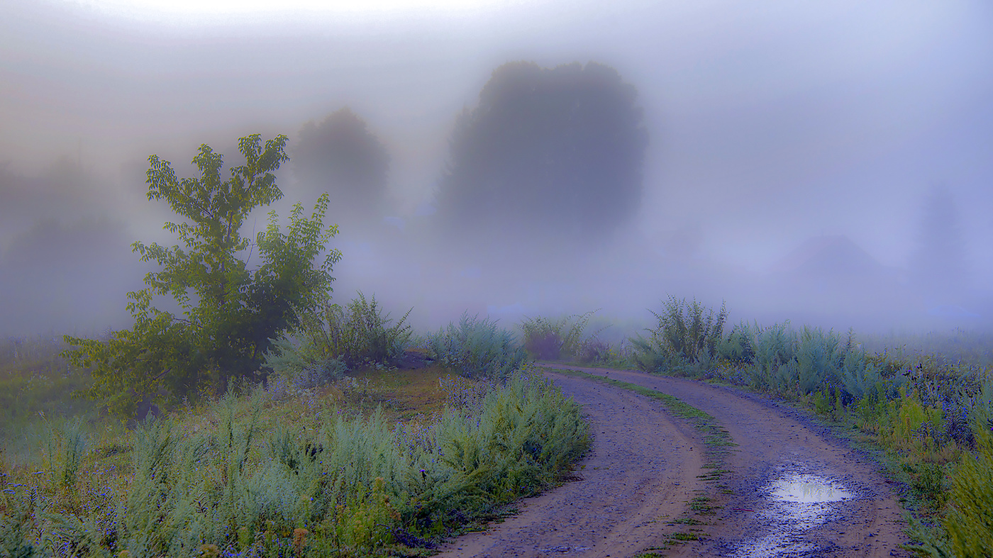 Дорога в туман