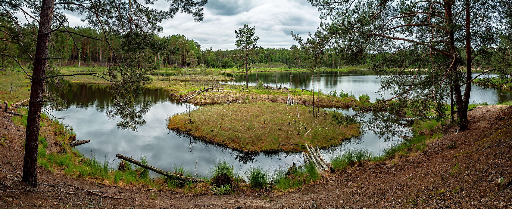 Бобровый дом. 2