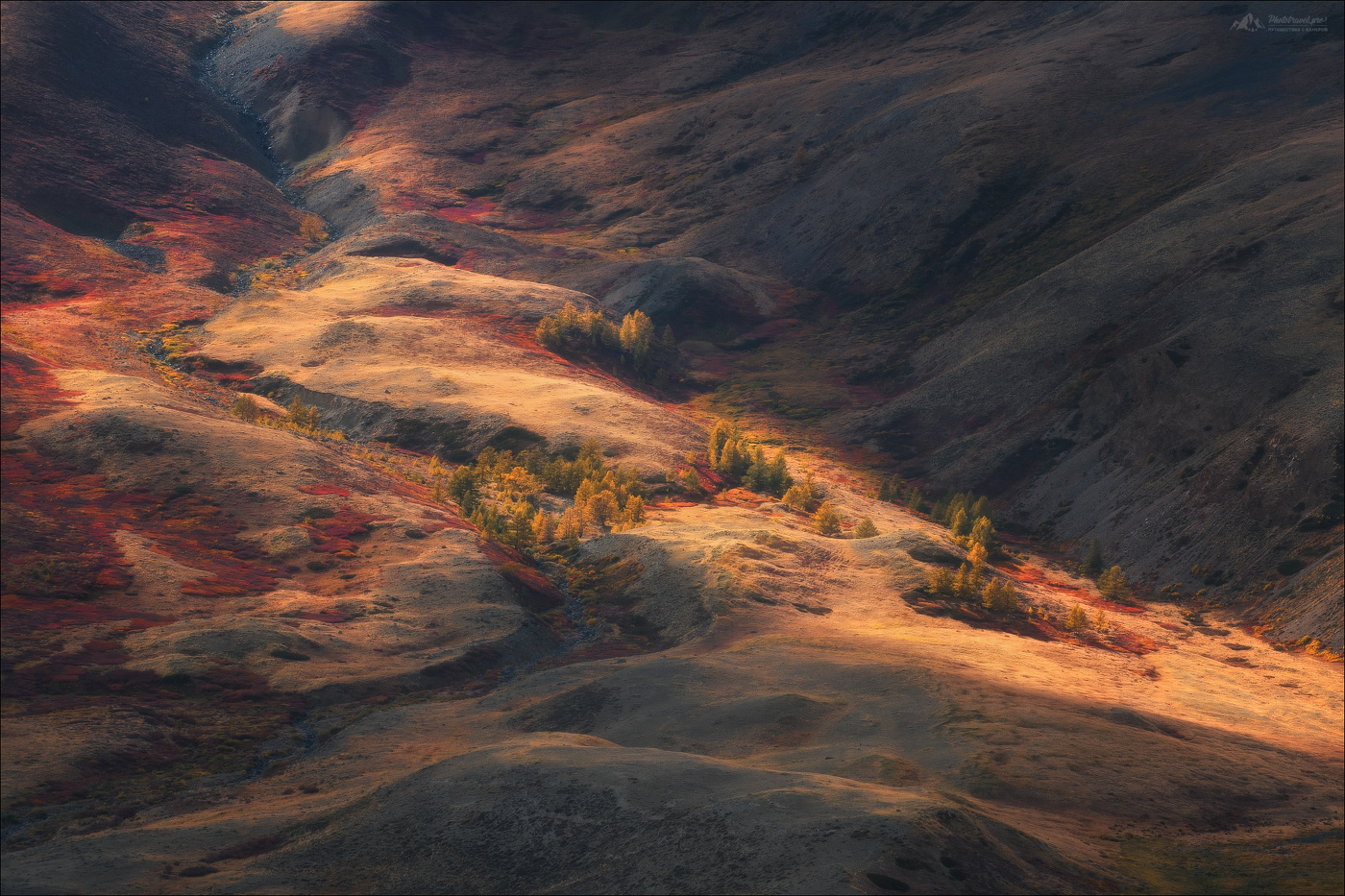 Палитра осени