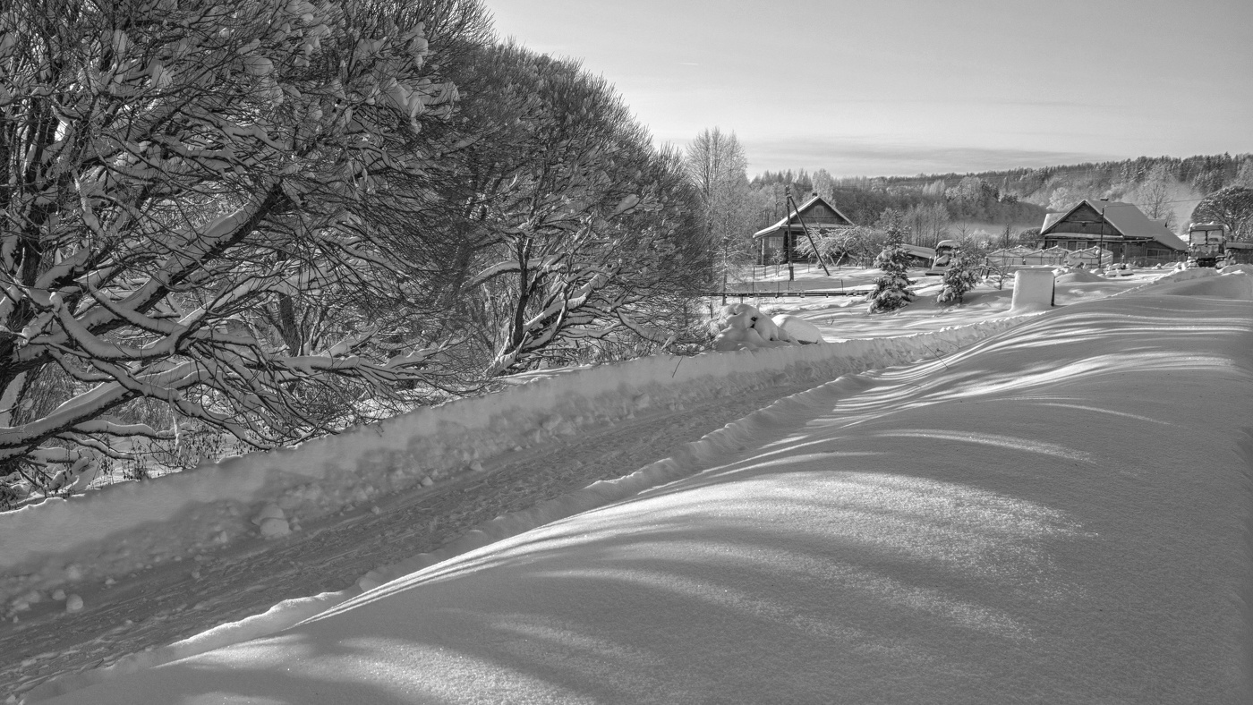 Жизнь вокруг