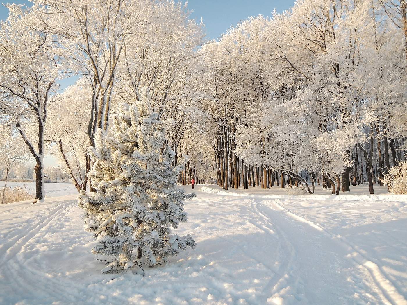 в сказочной сНежности