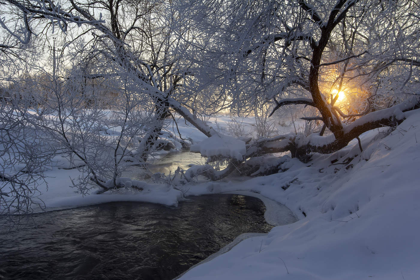 Морозное утро