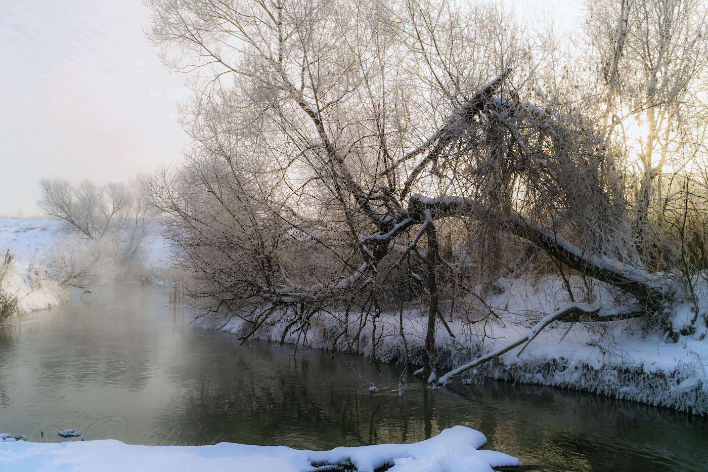 Над рекой склонённая