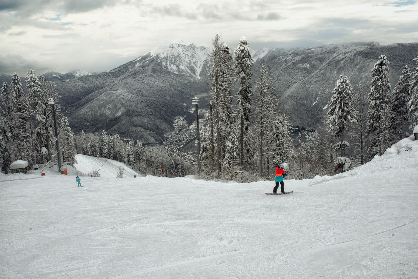 Заповедный лес