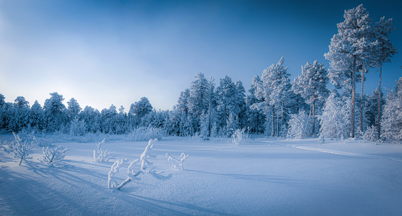 синей зимой настроенье сапфирное...