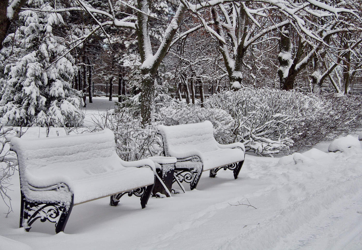 В Зимнем парке