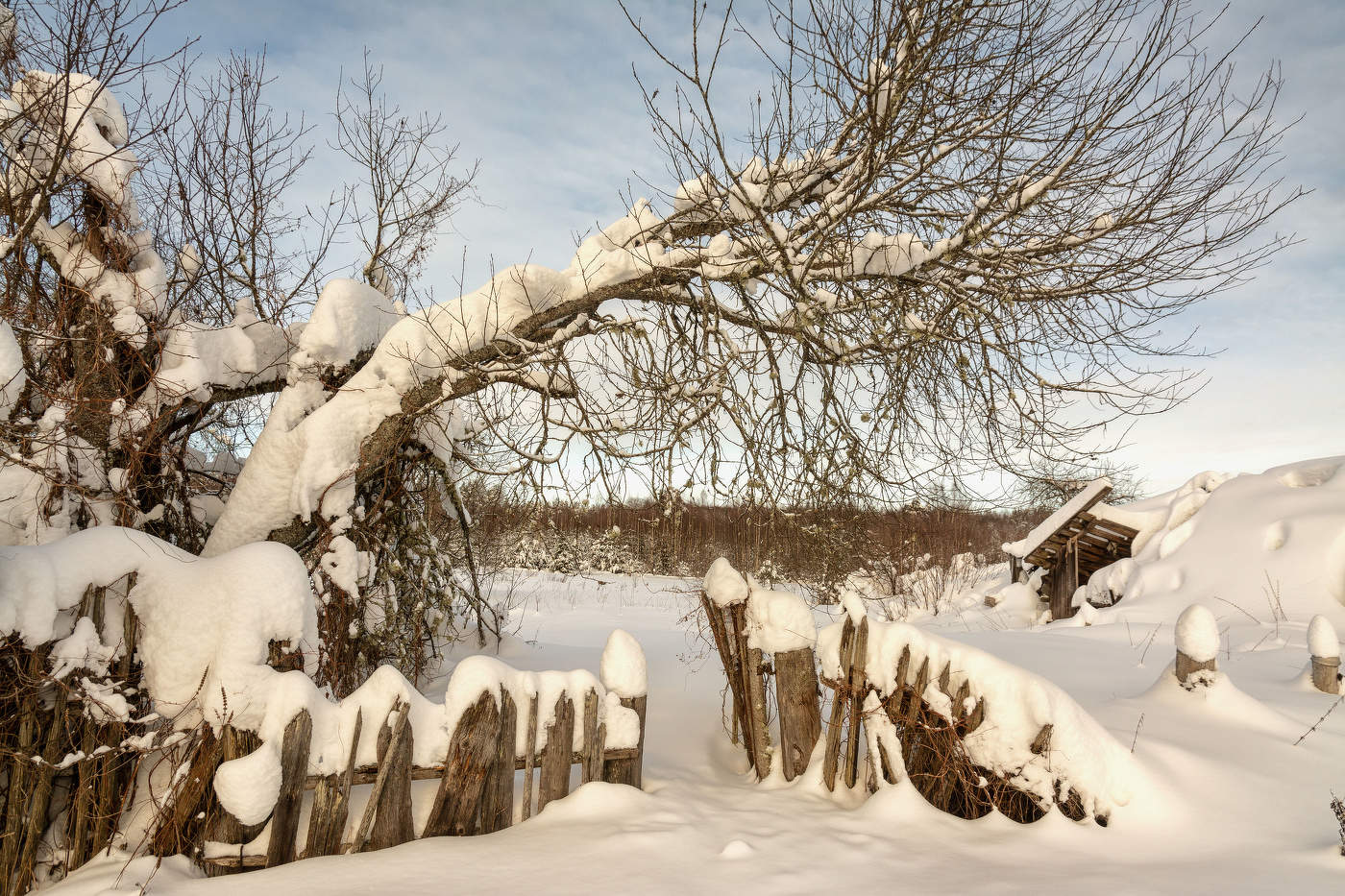 Жизнь вокруг