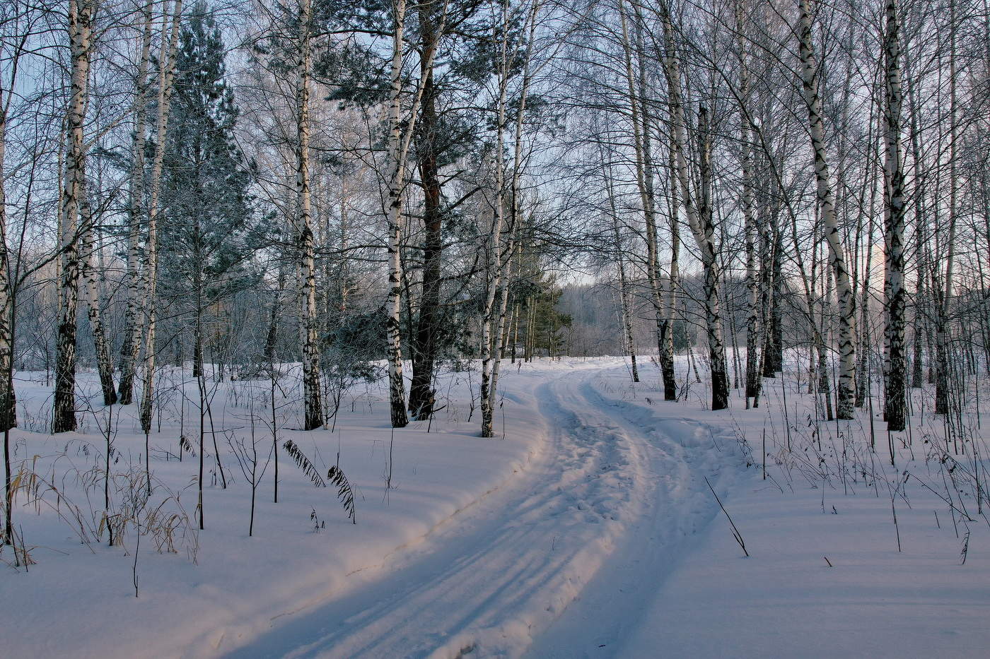 *Морозным днём.**