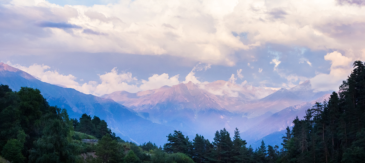 Предвестник