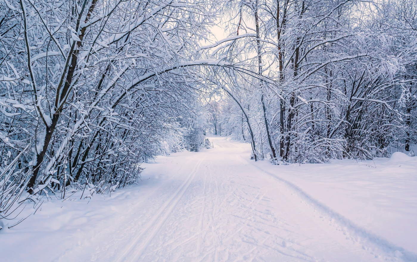Под арками зимы.