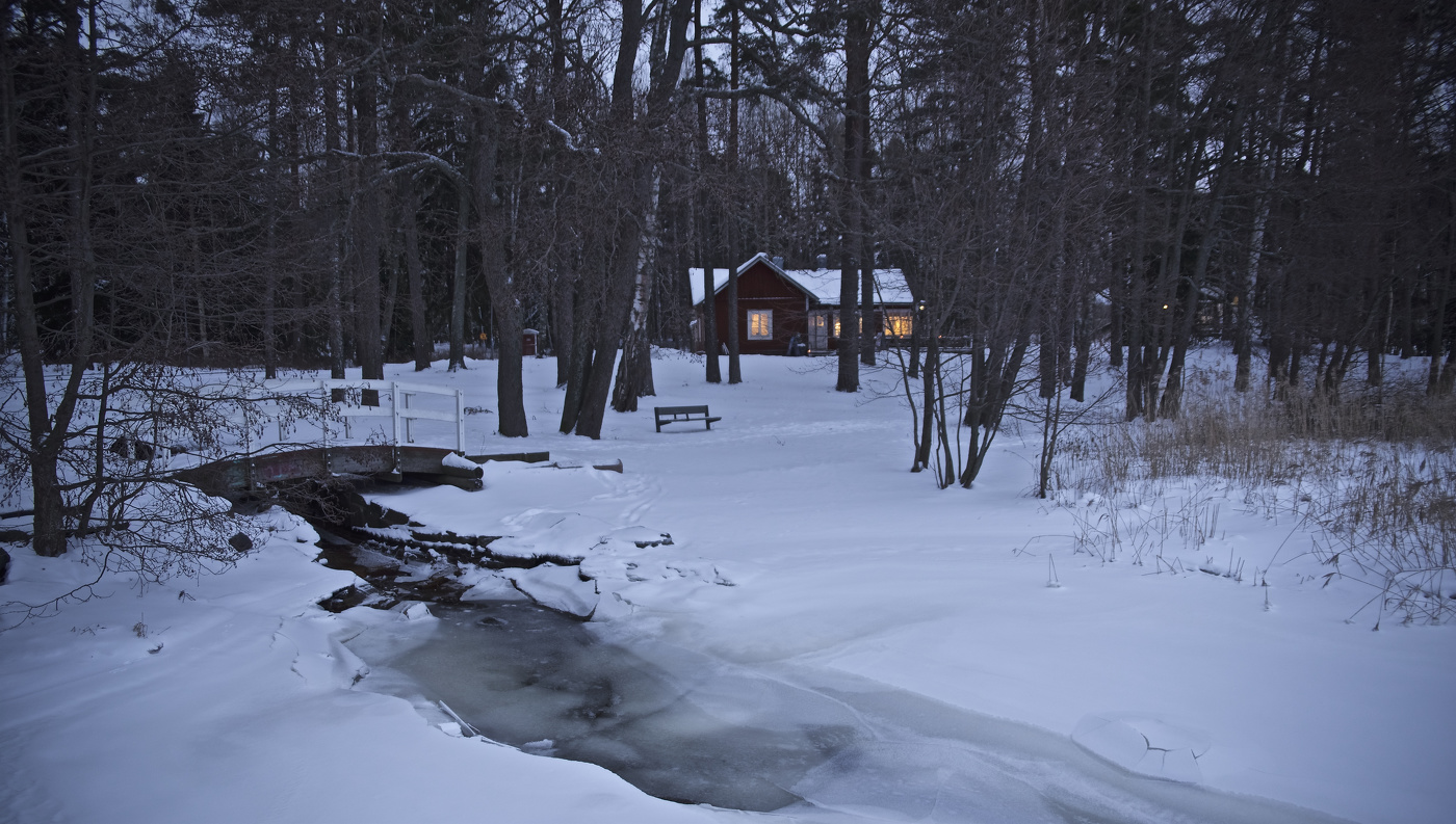 День начинается