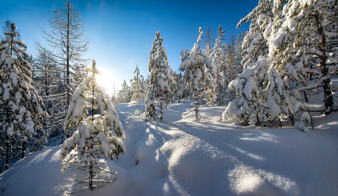 Настоящая зима