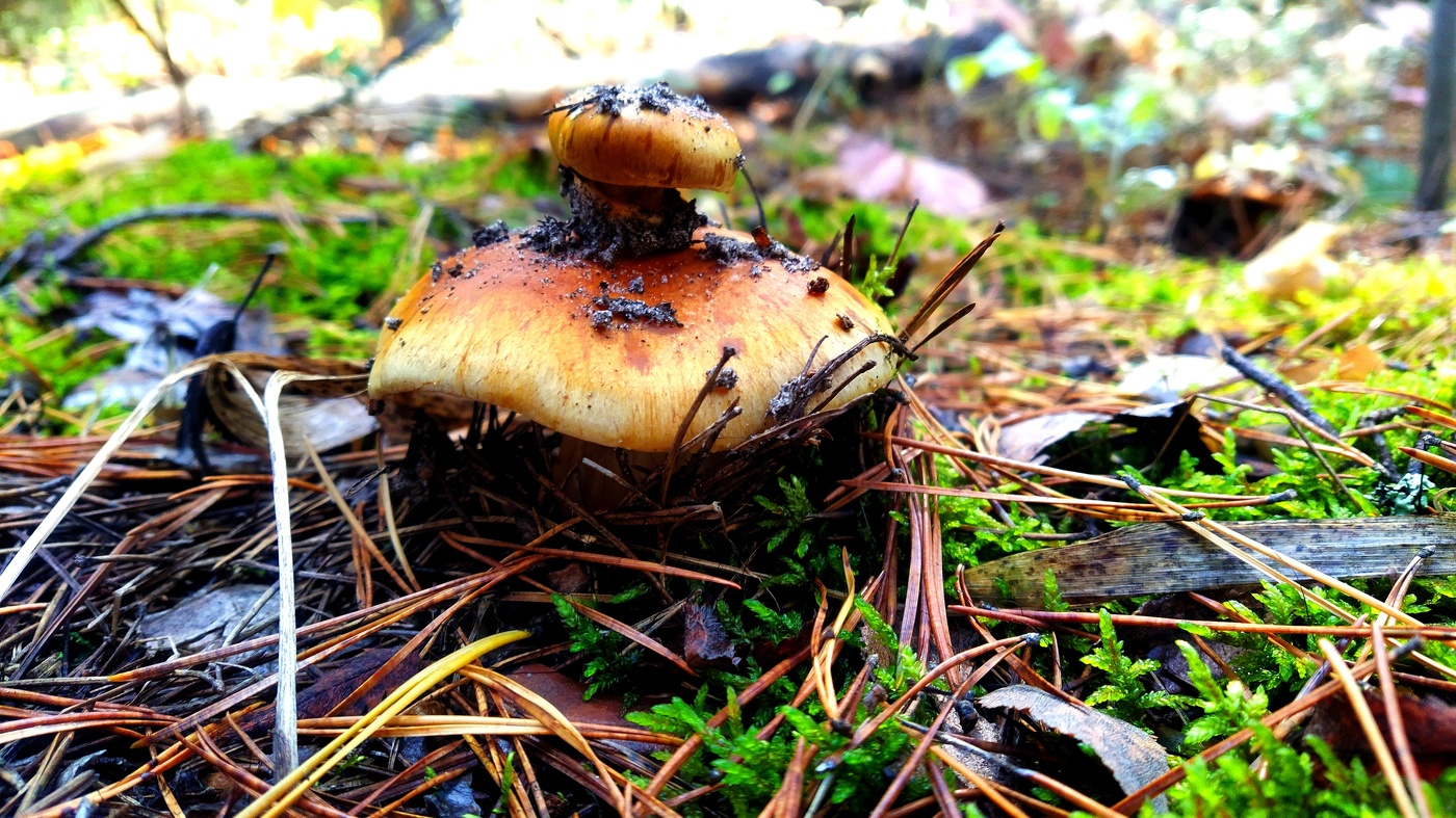 Интересненько