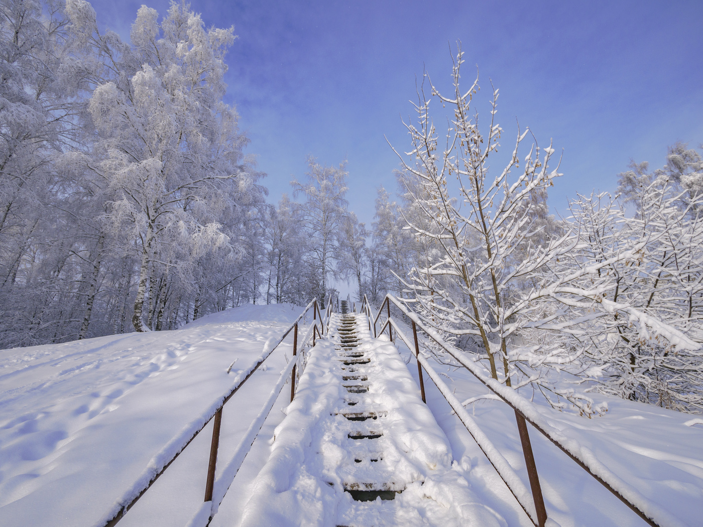 Лестница в зиму