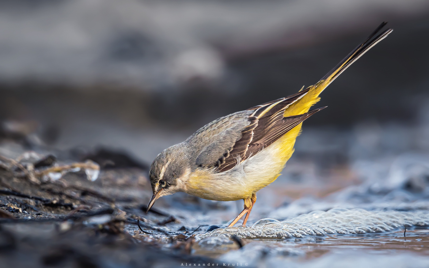 На кромке воды