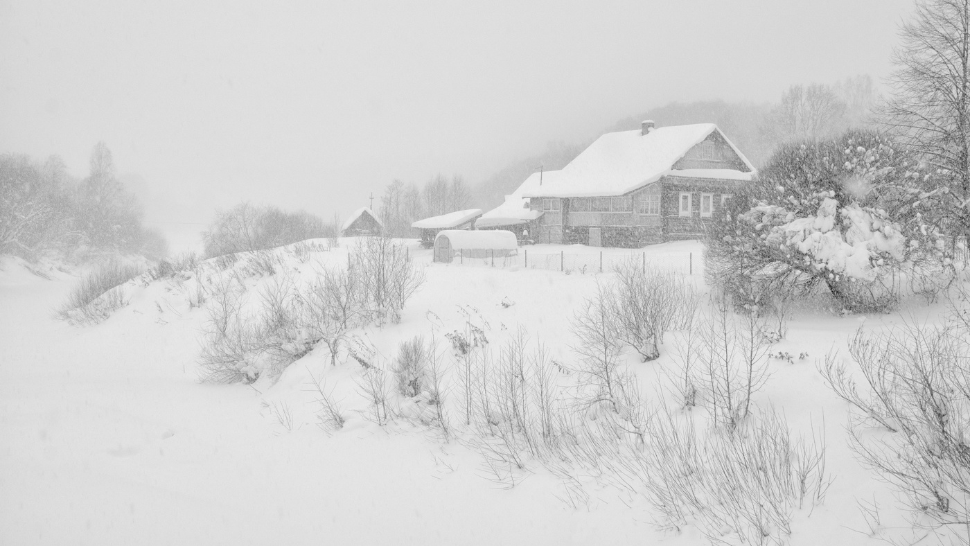 Жизнь вокруг