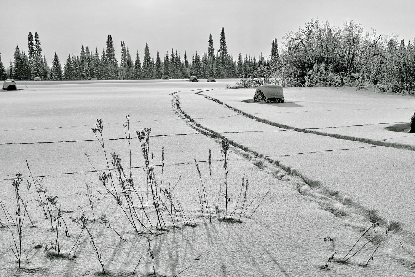 Солнечным днём.