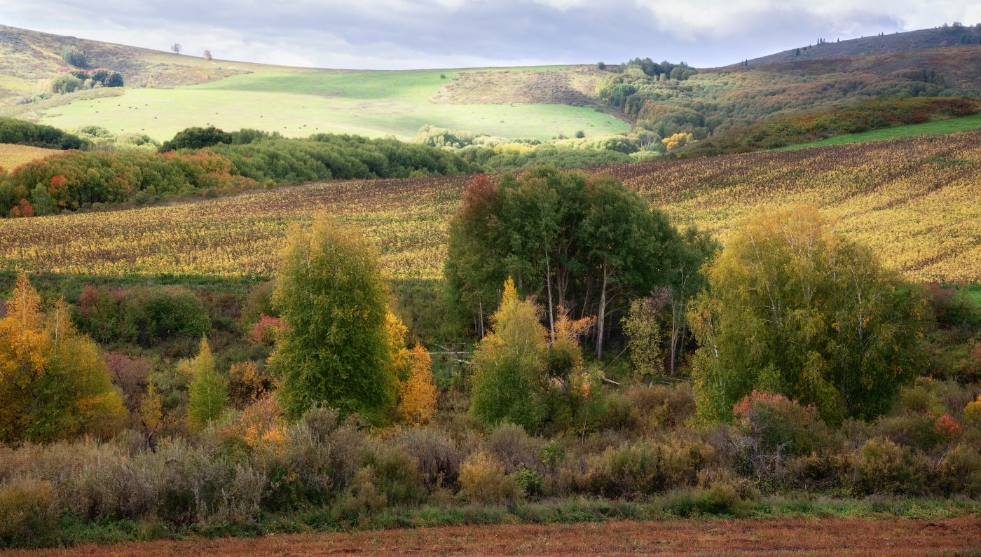 Осенний этюд