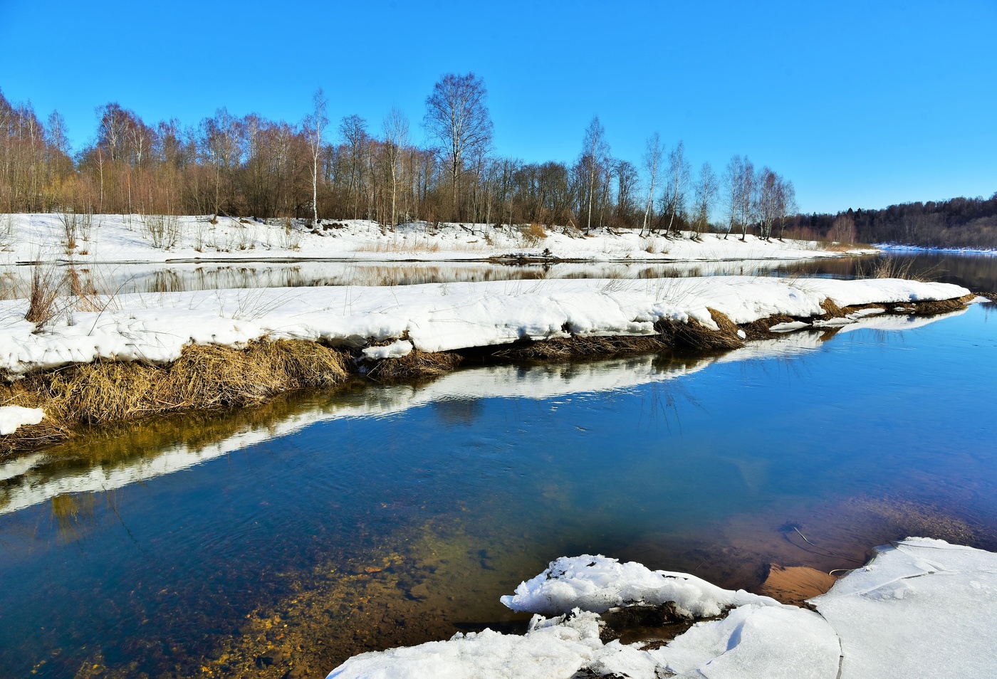 Март. В воздухе витает аромат весны ...