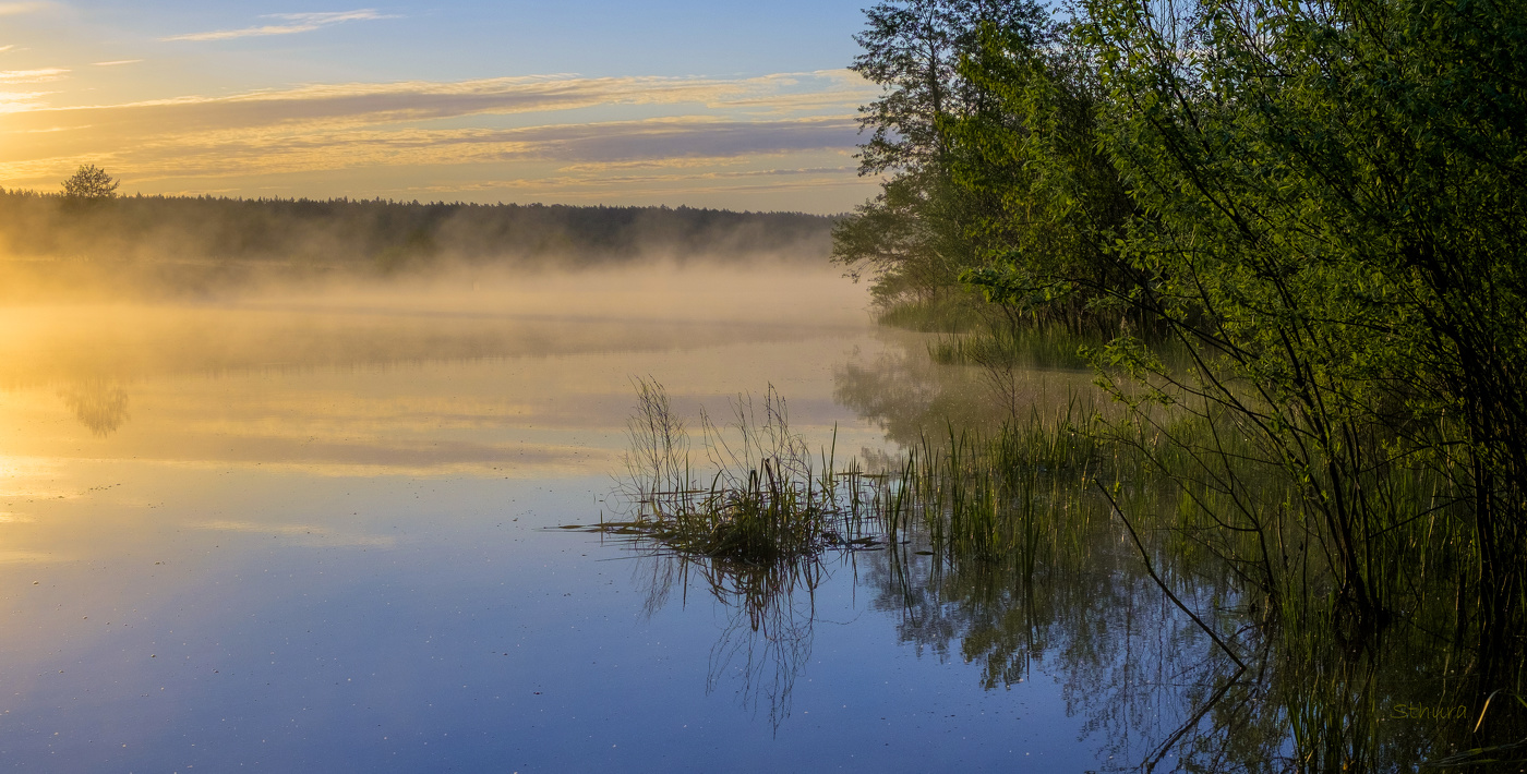 Утренний туман.