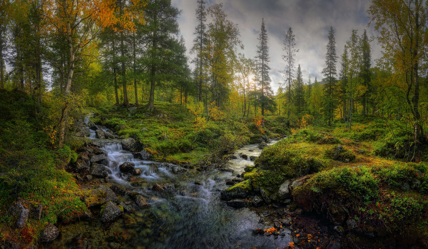 На стыке двух ручьев..