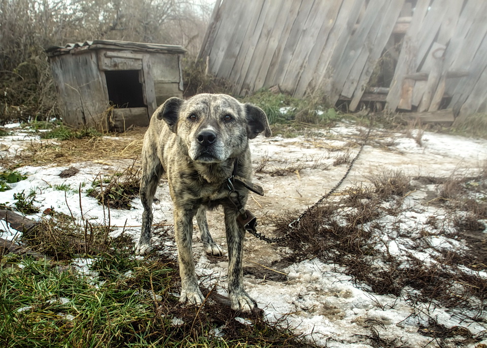 Ну ты заходи, если что...!