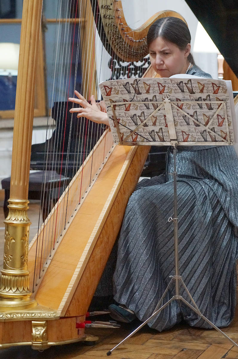 партия арфы