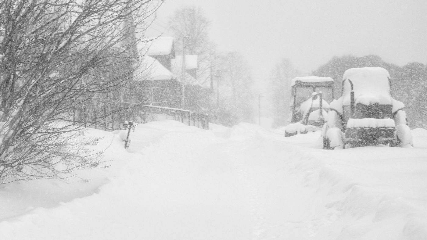 Жизнь вокруг