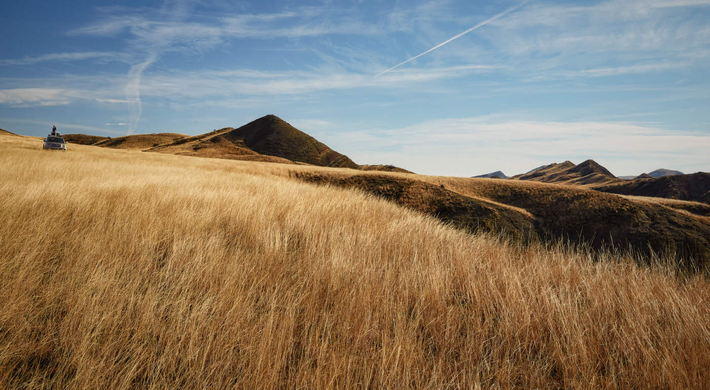 утонувшие в траве...
