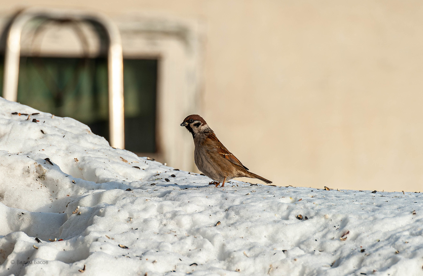 Когда увидел что-то удивительное!!