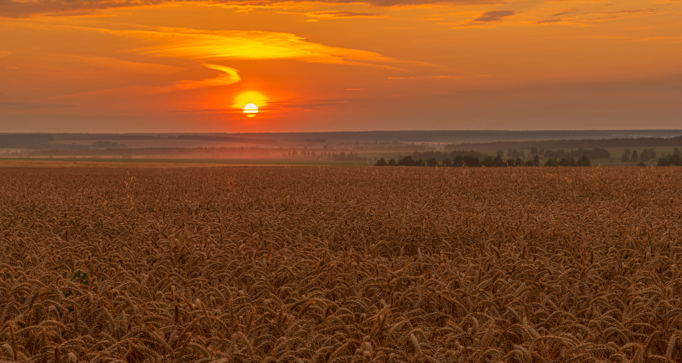 закат в Придонье