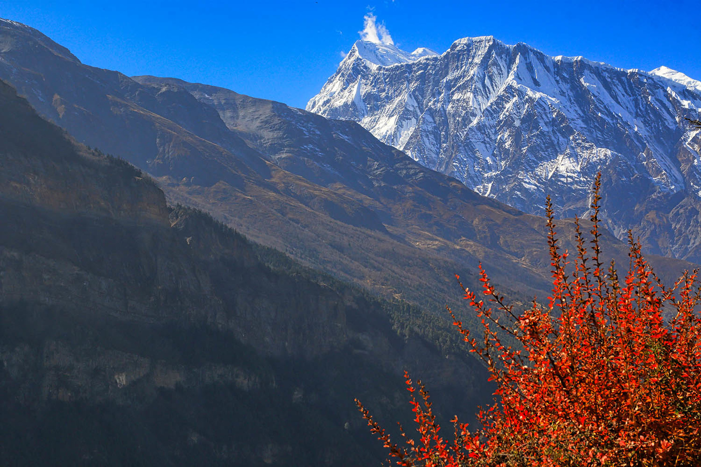 Аннапурна III