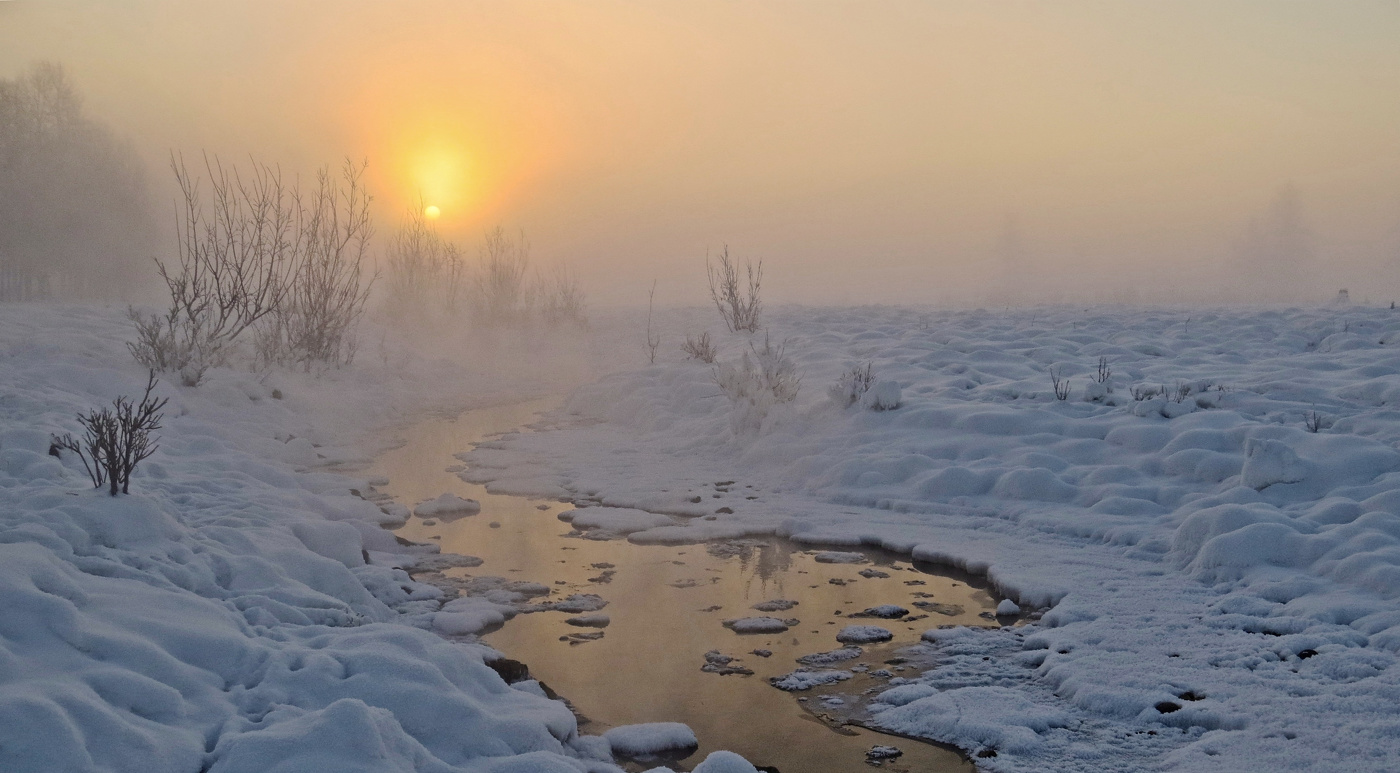 И оно взошло, солнышко...
