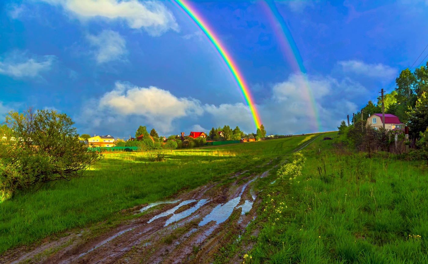после дождя