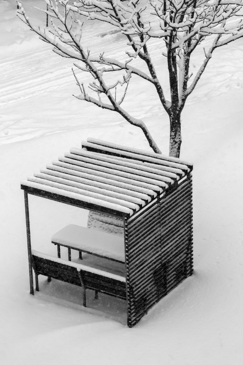 Просто зима...