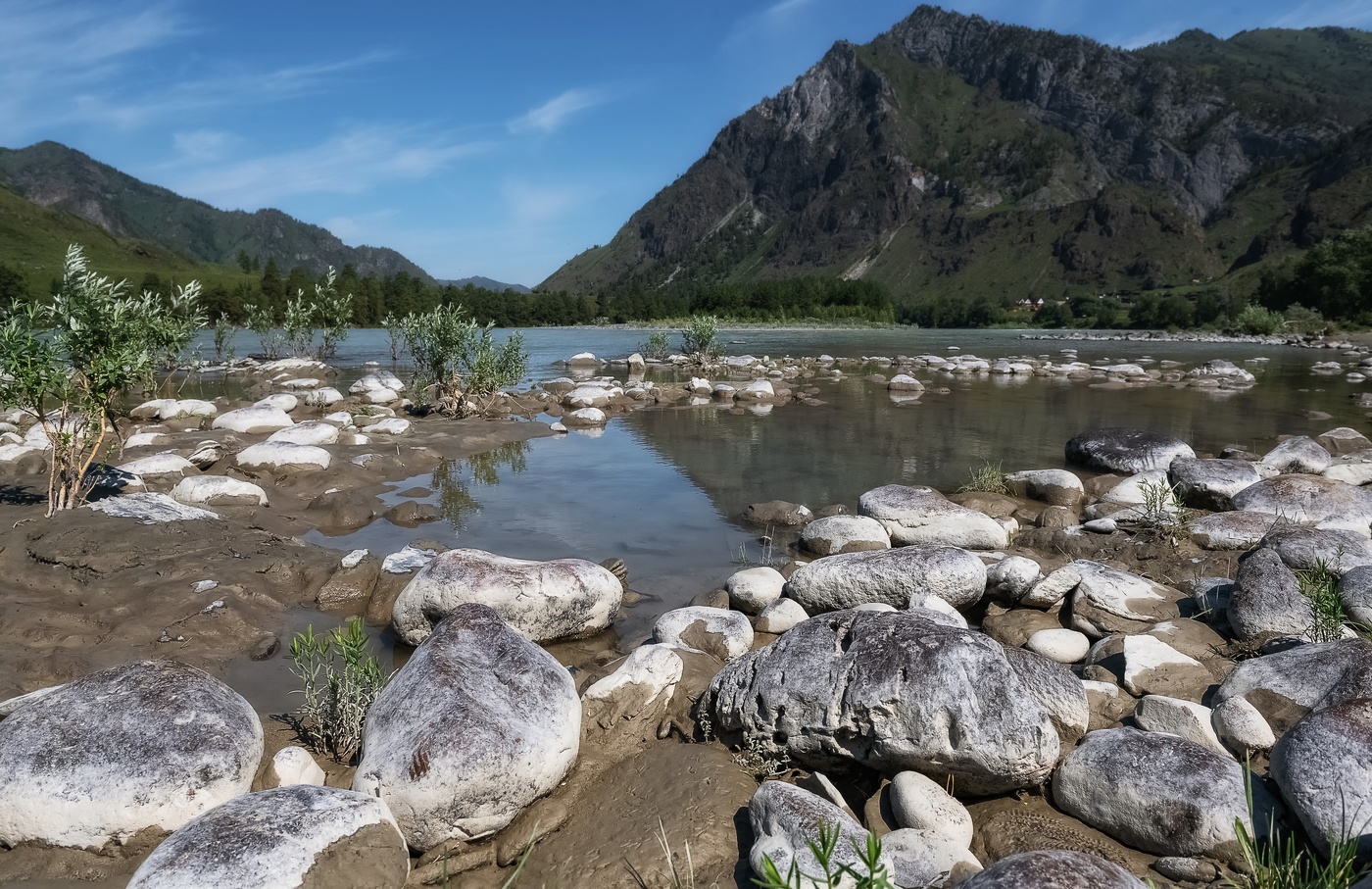 Заводь Катуни