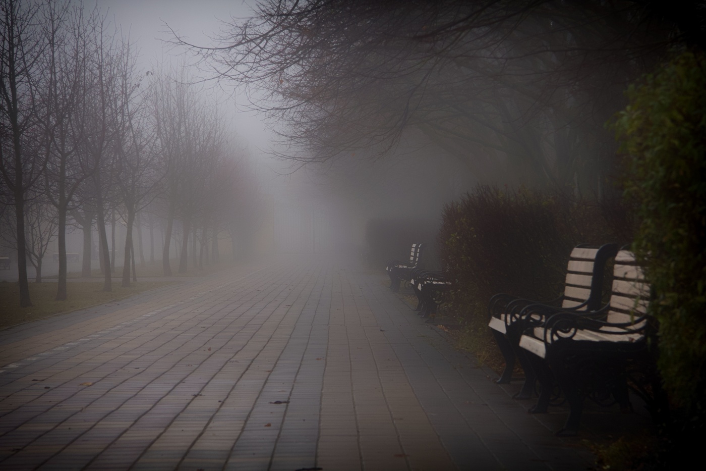 Туман пришедший в Декабре