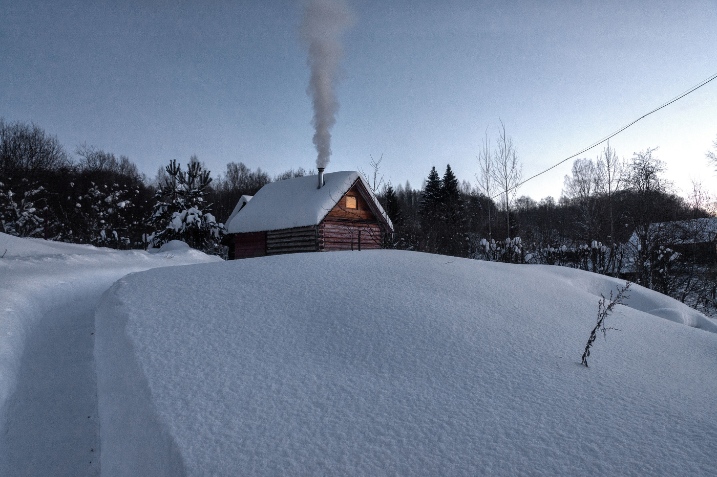 Жизнь вокруг