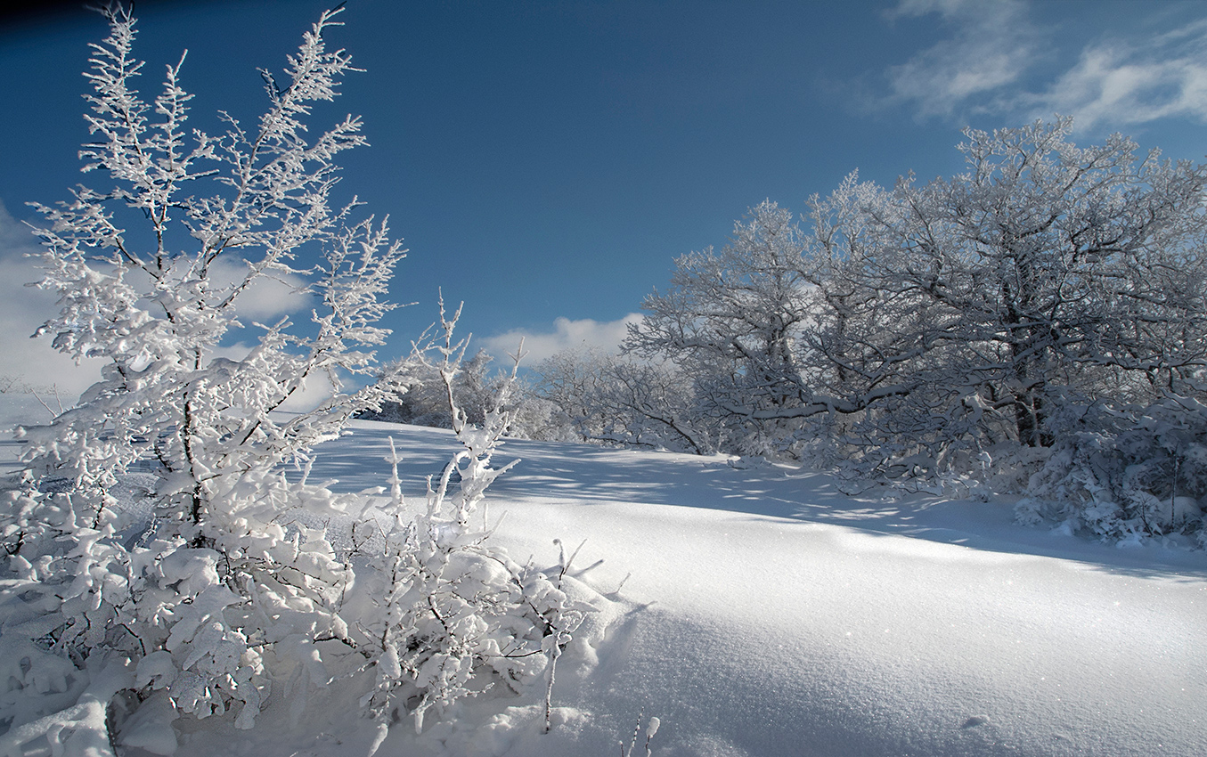 Этюд о зиме