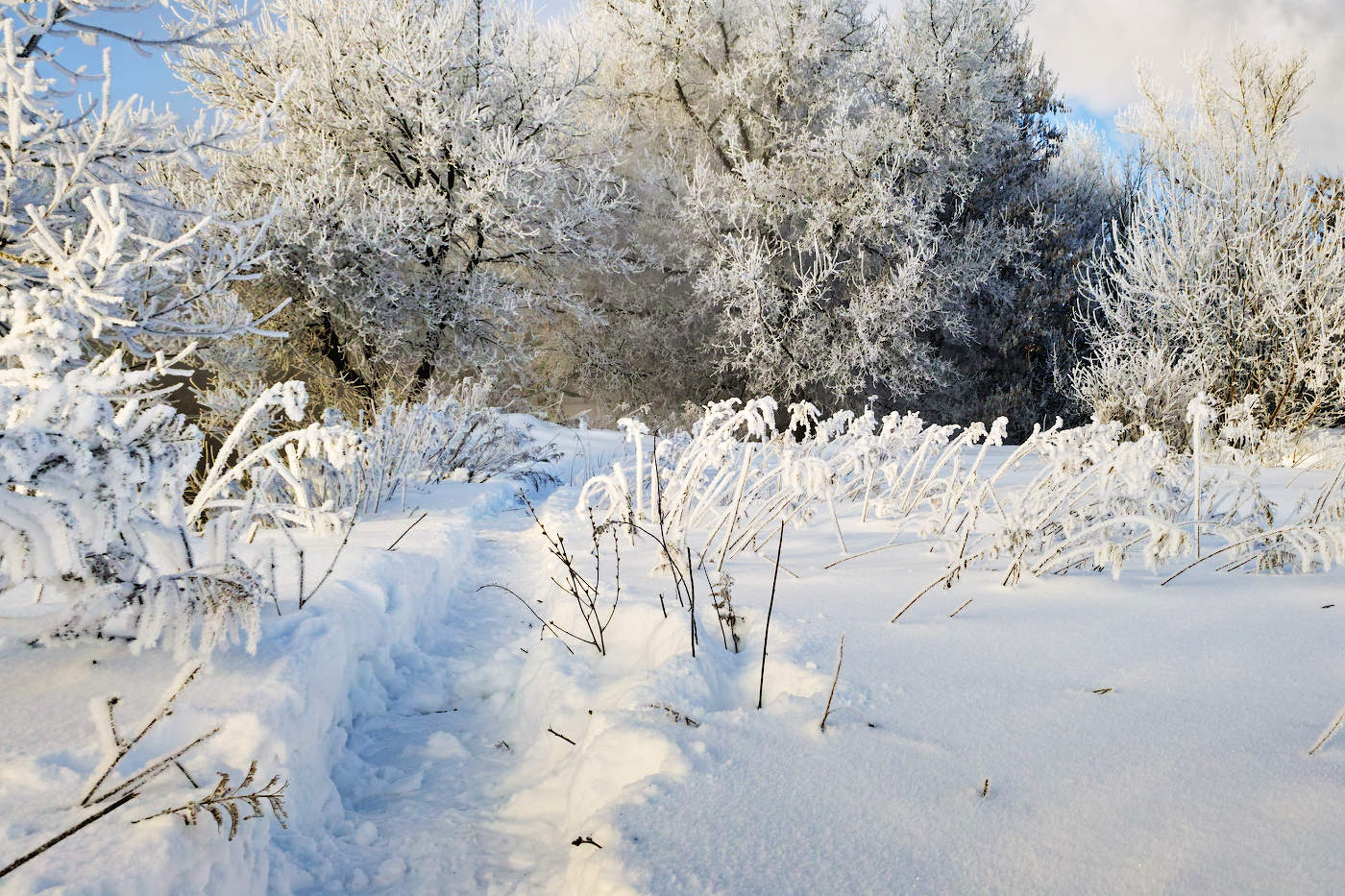 Там на неведомых дорожках...