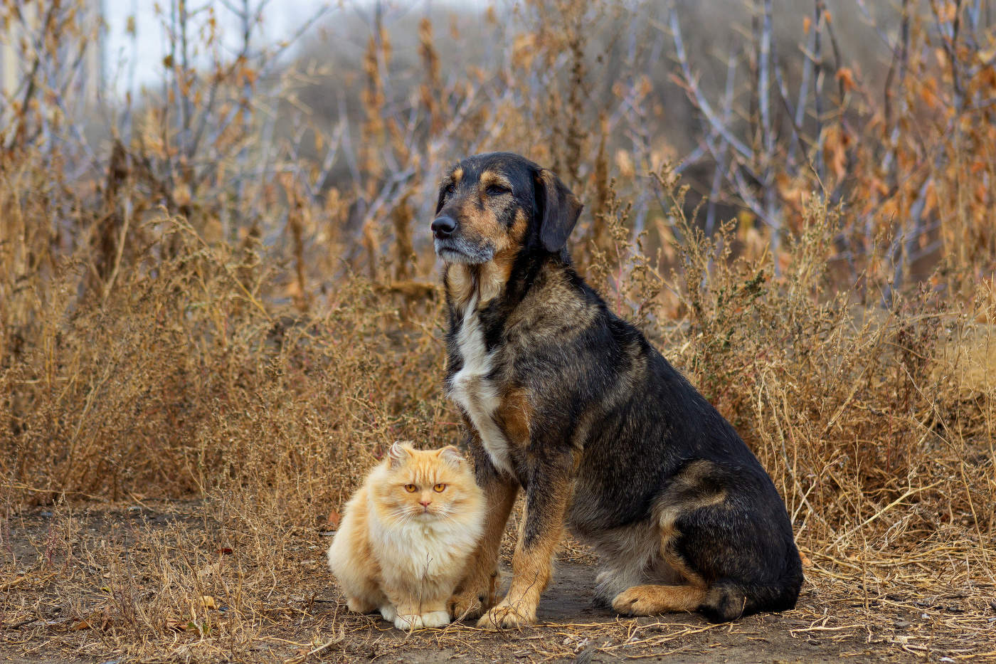 "the end фотосессии"