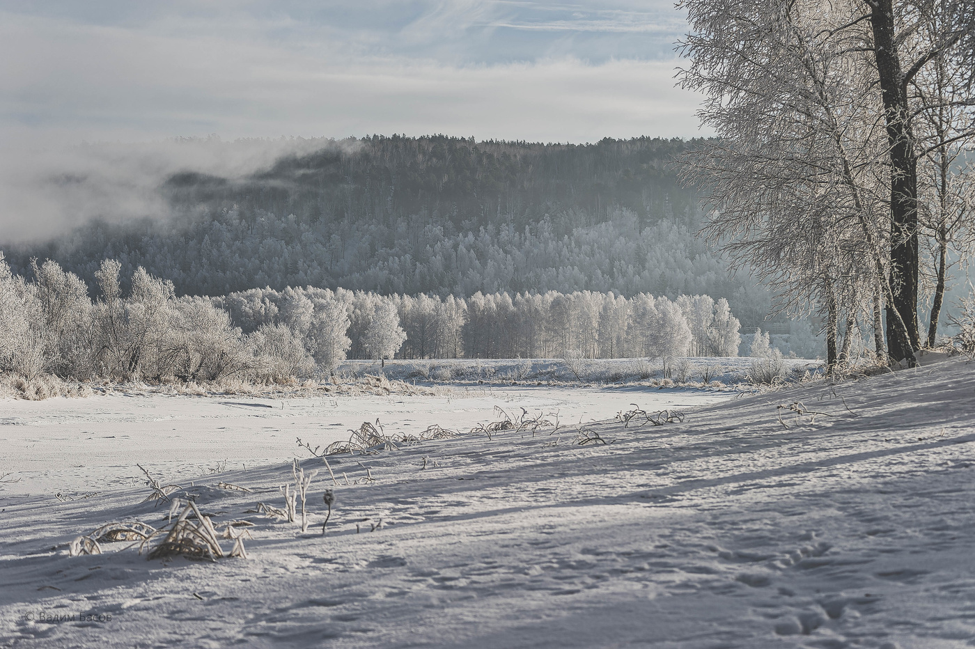 Морозным январским утром.